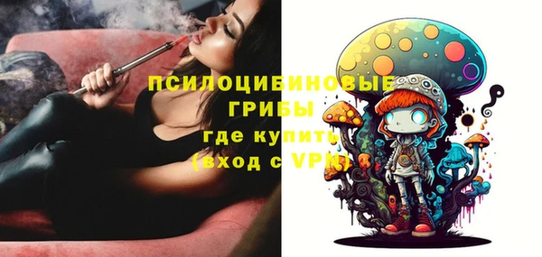 spice Балахна