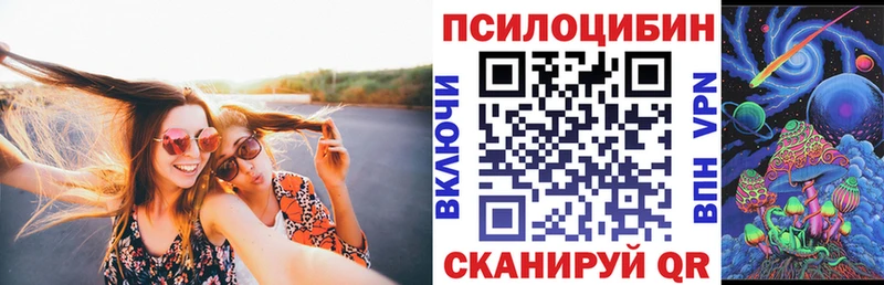 Галлюциногенные грибы Psilocybine cubensis  kraken рабочий сайт  Грязовец 